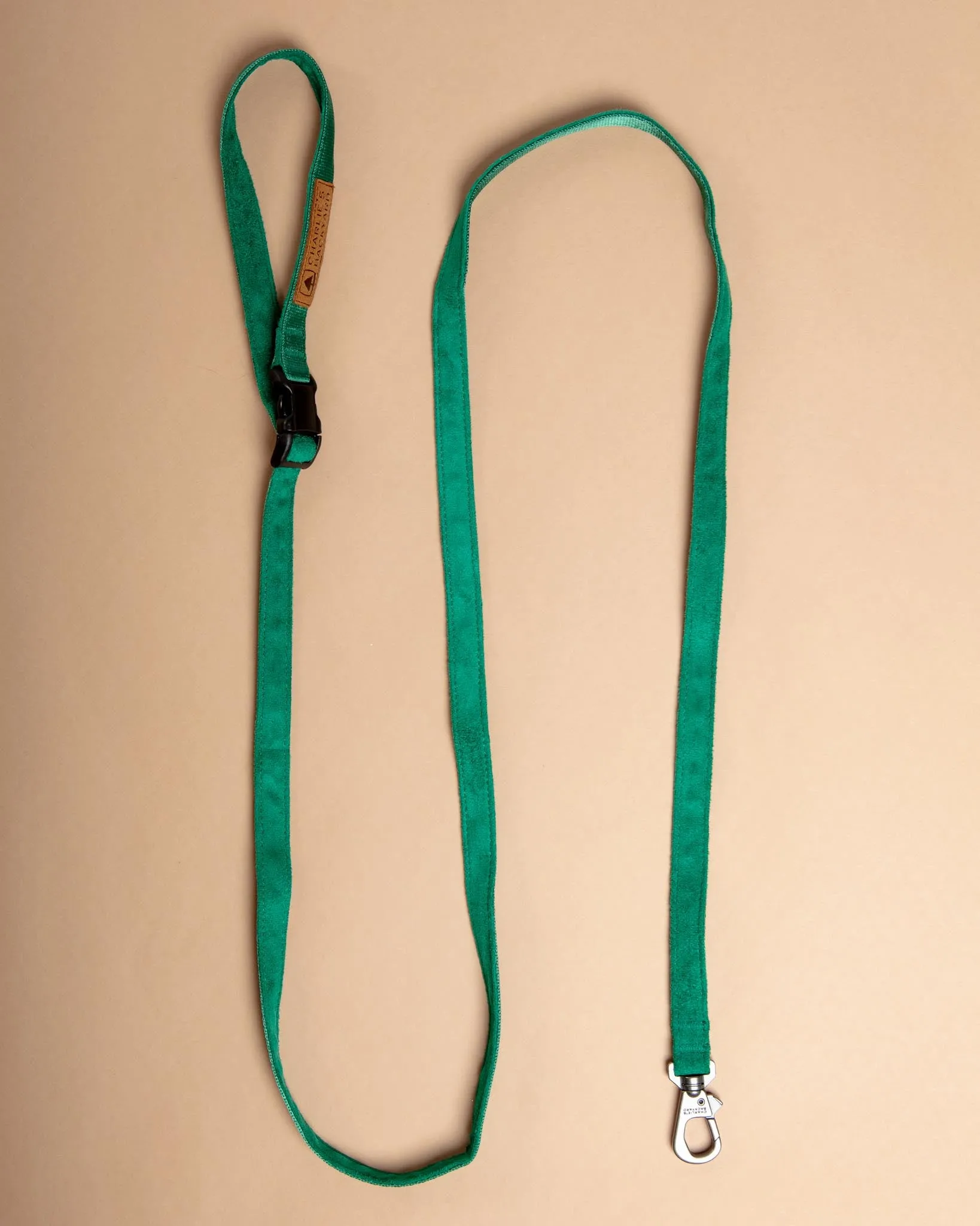 Adjustable Easy Dog Leash in Green