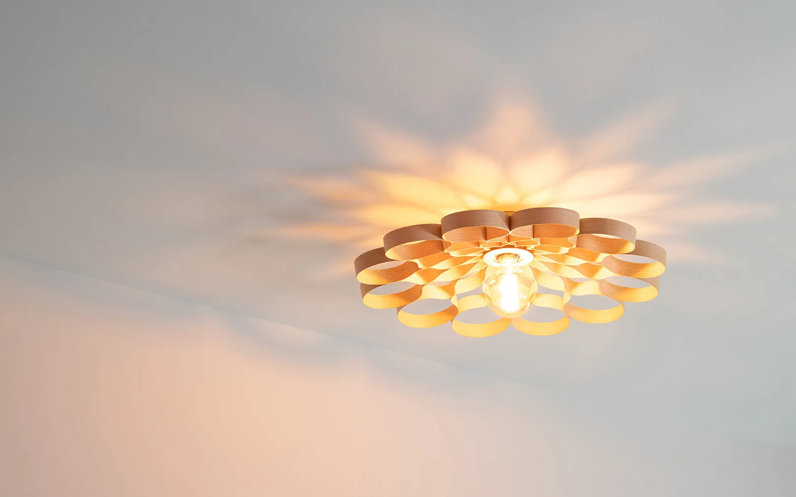 Arame Small Flush Ceiling Light