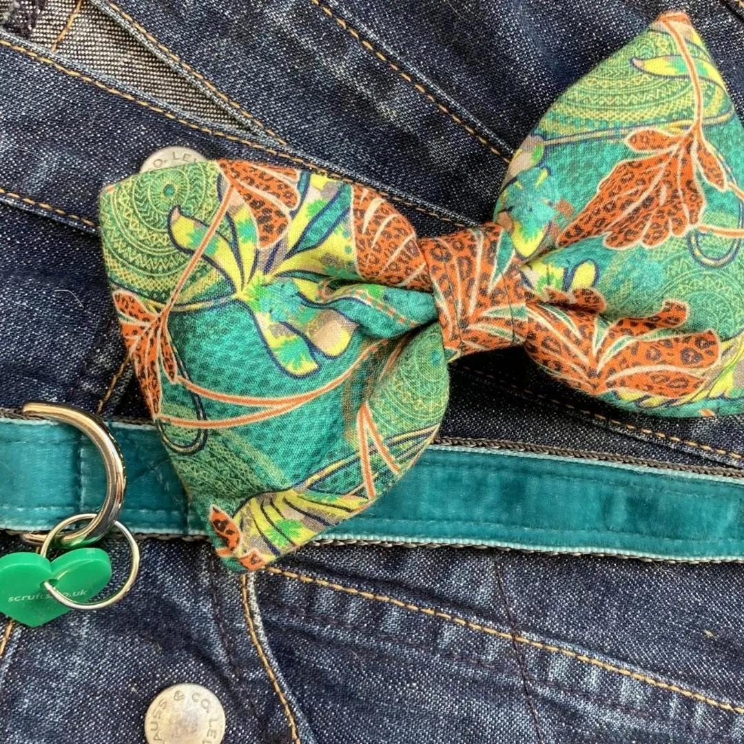 Club Tropicana Teal Velvet Dog Collar With Detachable Bow Tie