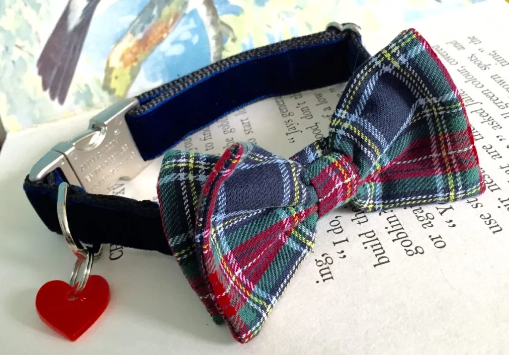 Dougal McHandsome Bow Tie Designer Dog Collar