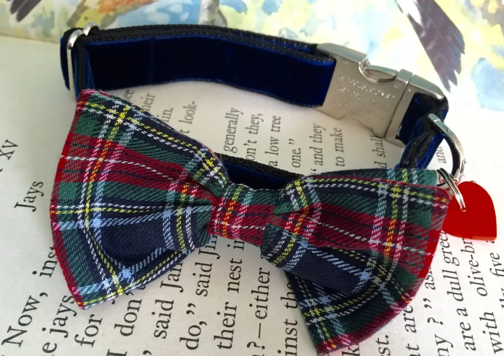 Dougal McHandsome Bow Tie Designer Dog Collar