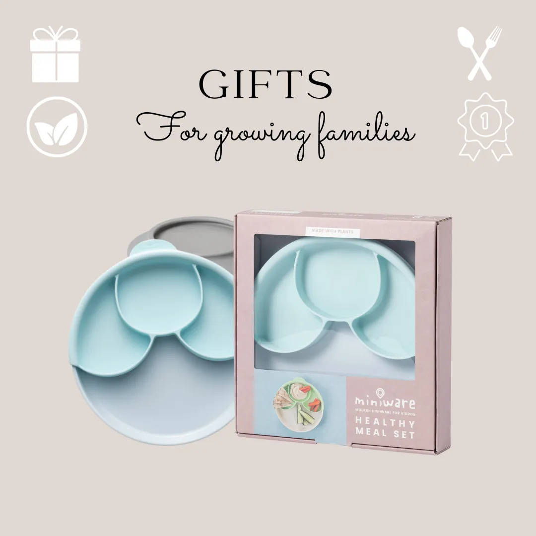 Healthy Meal Set-Aqua/Aqua