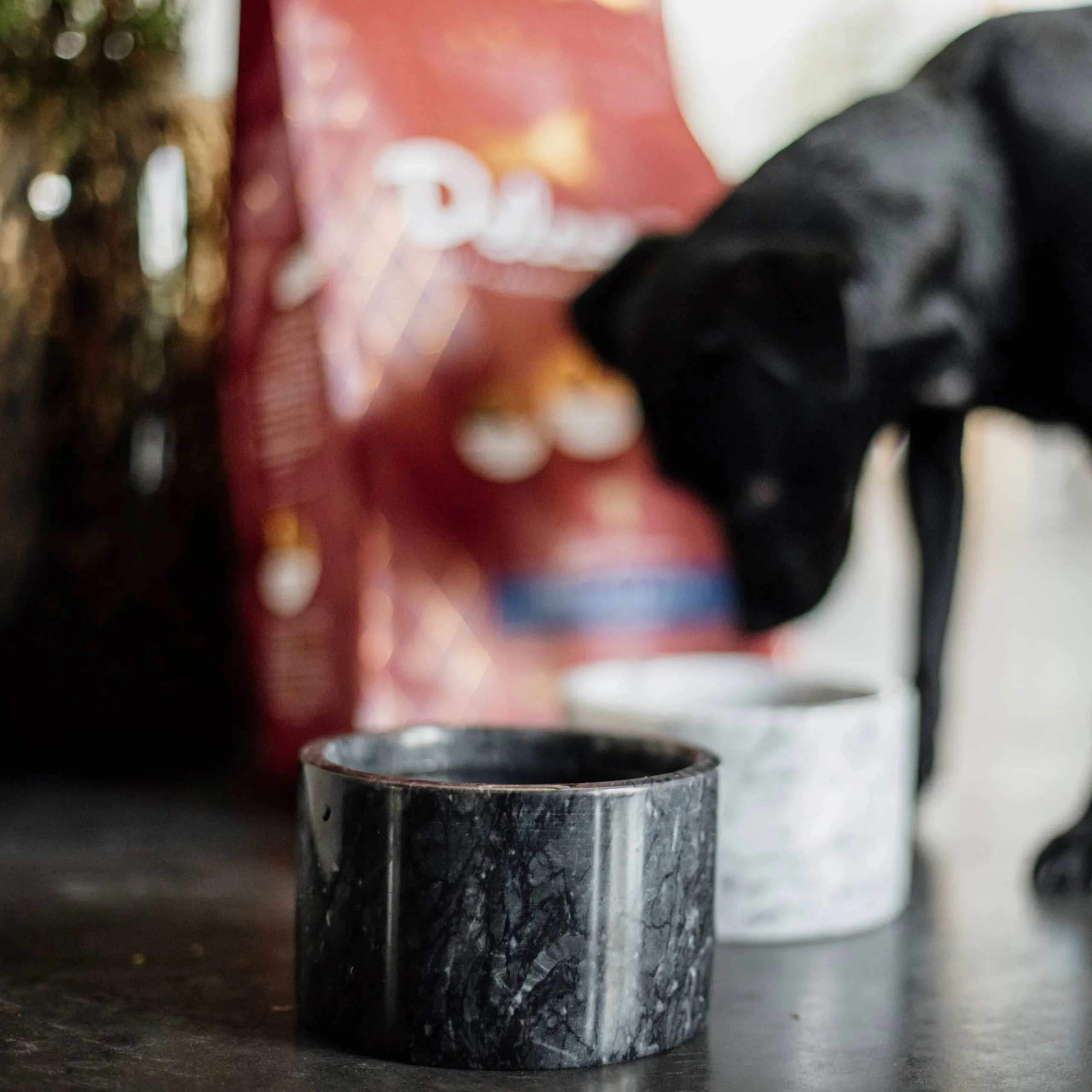 Kentucky Dogwear Small Marble Dog Bowl - Black