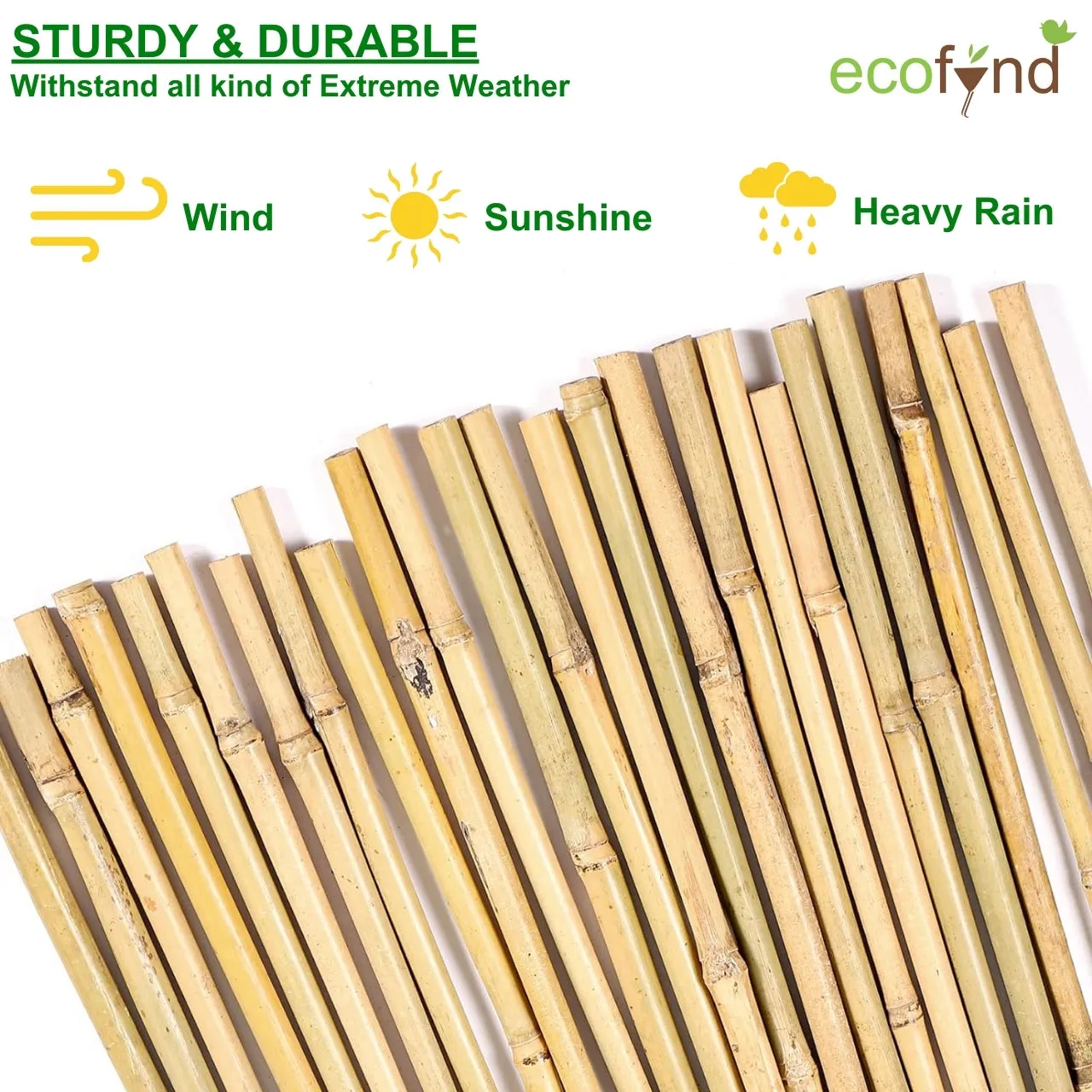 Natural Bamboo Plant Sticks