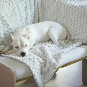 New: Katie Puff® Encore Luxury Dog Blanket