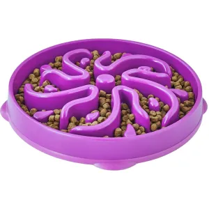 Outward Hound Slow Feeder Purple