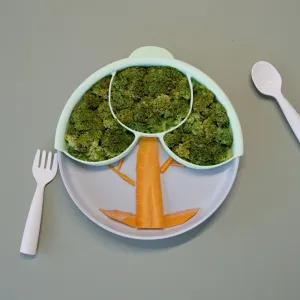 Smart Divider-Key Lime